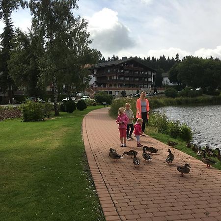 Fewo Andresen Hahnenklee Goslar Exteriör bild